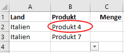 Ungültige Daten in Excel einkreisen