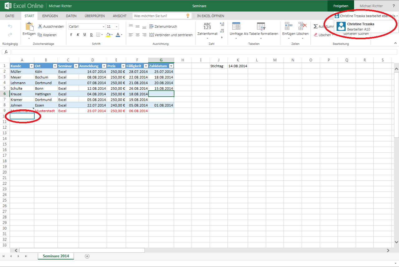gemeinsames Bearbeiten einer Arbeitsmappe mit Excel Online
